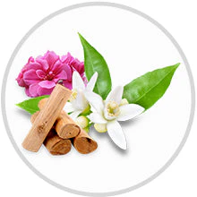 3 in 1 Jasmine Blossom Body Wash - Image 15