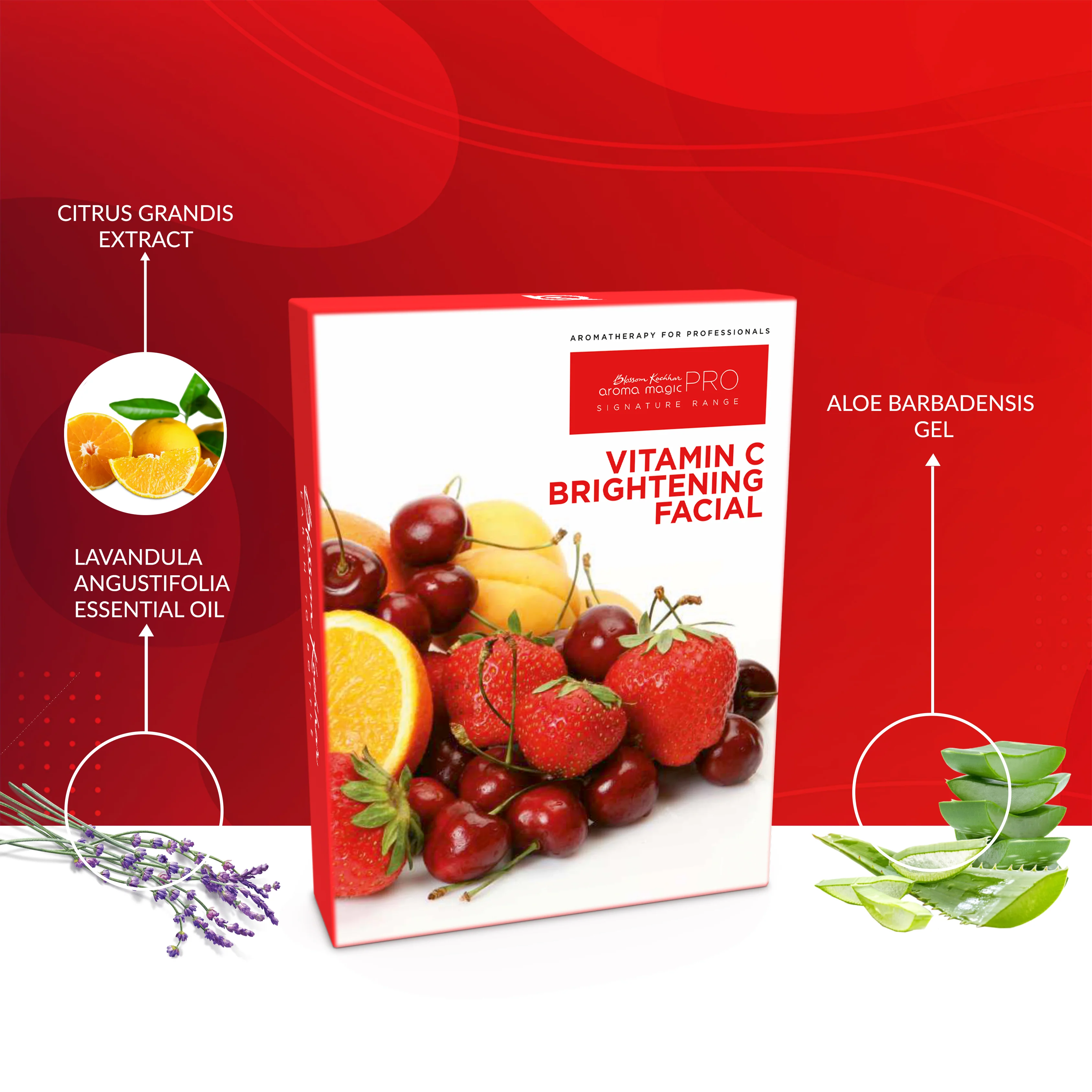 Vitamin C Skin Brightening Facial Kit For All Skin Types - Image 5